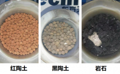 岩石陶土小猪视频IOS下载安装无限方案